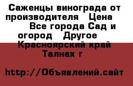 Саженцы винограда от производителя › Цена ­ 800 - Все города Сад и огород » Другое   . Красноярский край,Талнах г.
